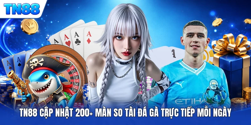TN88 cập nhật 200+ màn so tài đá gà trực tiếp mỗi ngày